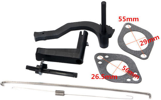 Carburetor Briggs&stratton 591378 699966 699958