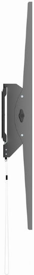 Gembird WM-100T-01 Wall TV Mount