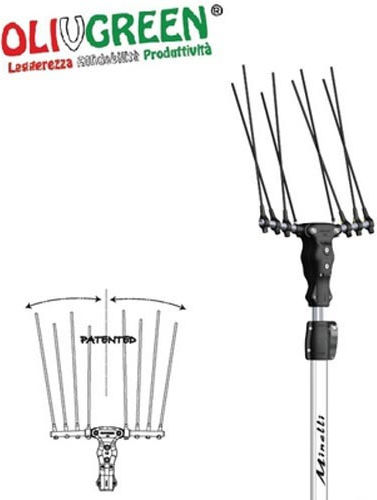 Minelli Olivenernter Batterie 500W Typ Harke mit Stange 2.1m und Gewicht 2.6kg