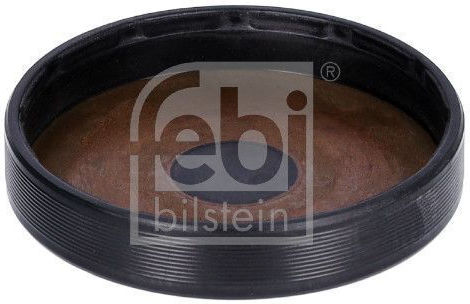 Capac Conector Șurub Principal Febi Bilstein 23205