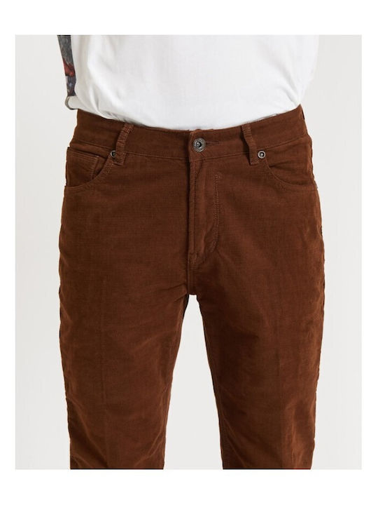 Trousers in Regular Fit Brown