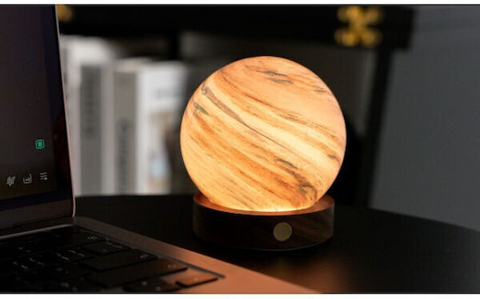 Gingko Light Dekorative Lampe