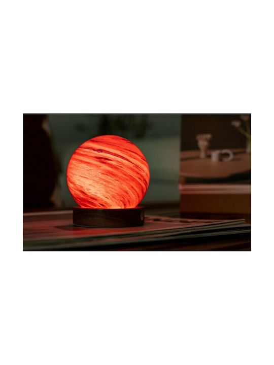 Gingko Light Decorative Lamp