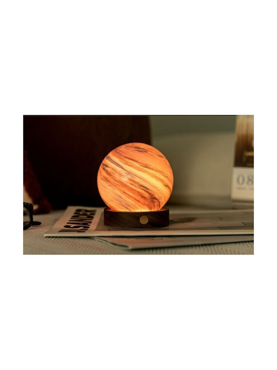 Gingko Light Decorative Lamp