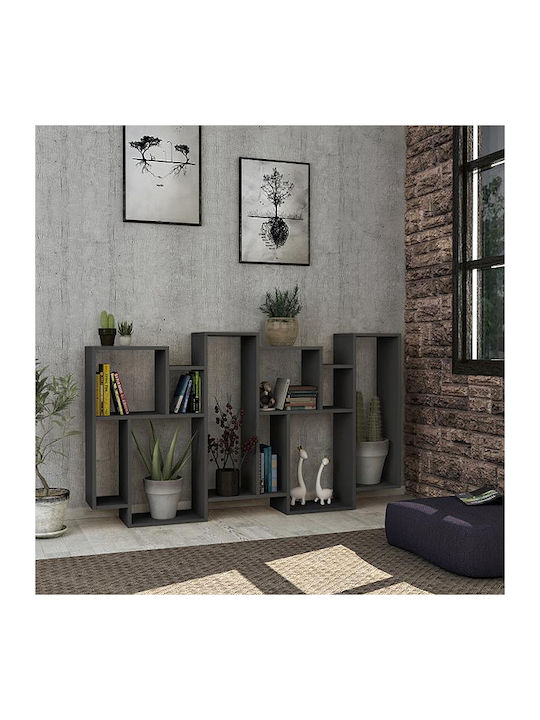 Bibliothek Karmato Anthraki 96x25.5x168.5cm