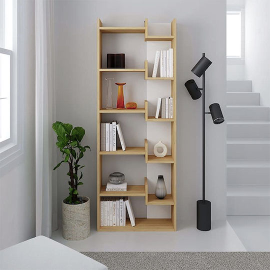 Bibliothek Helmut Weiß / Natur 60x22x162cm