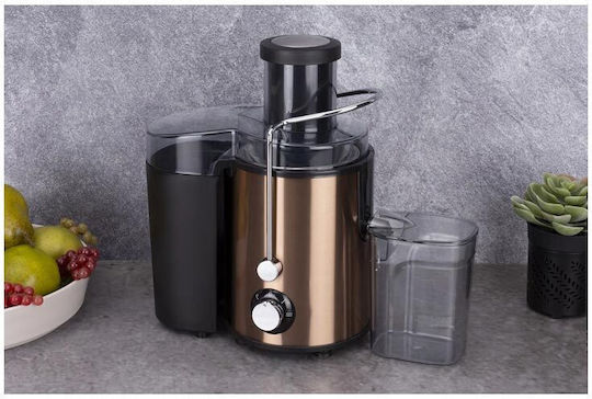 Berlinger Haus Storcător de fructe 500W Roz