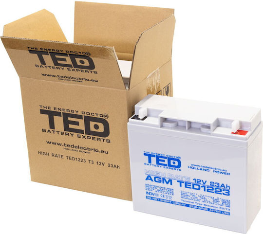 Baterie Ted Electric Ted003348 12V Rată Mare Dimensiuni 181 X 76 X 167 Mm 12V 23Ah F3 Baterie