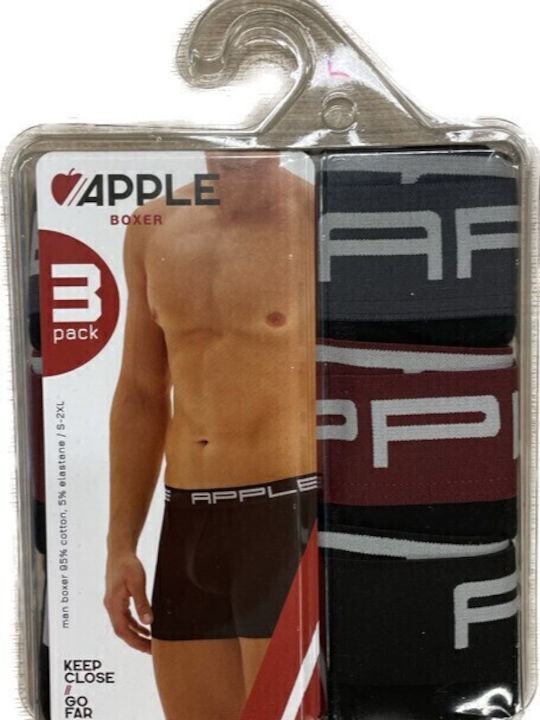 Apple Boxer Apple Boxer