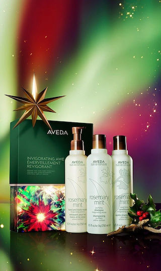 Aveda Invigorating Awe Rosemary Mint Hair & Body Essentials Gift Set Hair Care Sets With Shampoo & Conditioner 3 Pieces