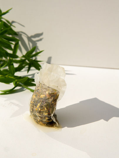 Rhoeco Τζίντζερ Βιολογικό Προϊόν 3 Φακελάκια 8gr