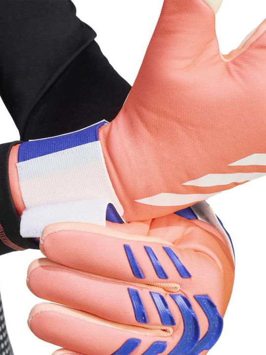 adidas Pred Gl Lge Γάντια Τερματοφύλακα Ενηλίκων Μπεζ