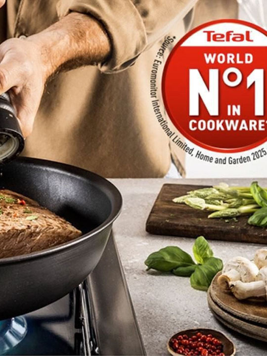 Tefal Excellence Pan Made of Aluminum with Lid with Non-Stick Coating 24cm