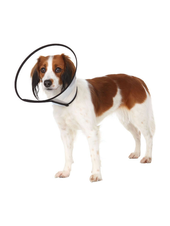 Trixie Protective Dog Collar in Transparent color Protective Collar Small 25-32 cm.