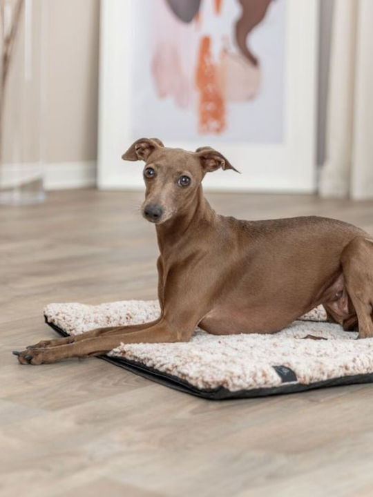 Trixie Teppich Teppich für Hunde Weiß 120x75cm.