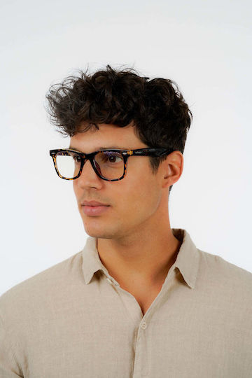 Blue Light Rote Rabe Serie A Bernstein Schutzbrille