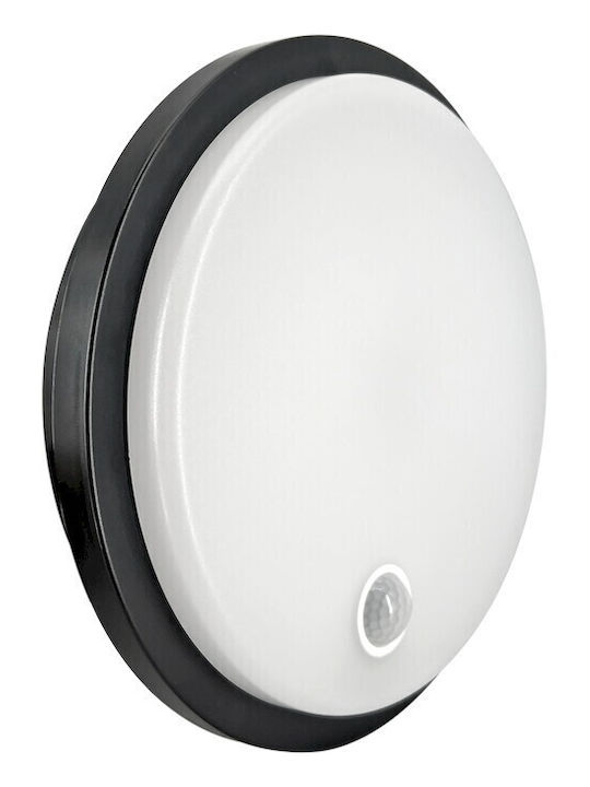 Geyer Стенно Външно Осветително Тяло LED IP65 10W