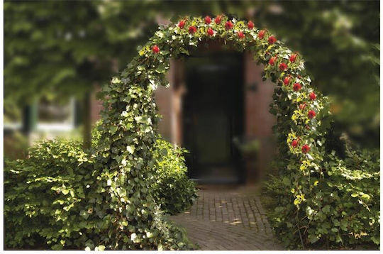 Garden Arch Made of Metal 140x240cm