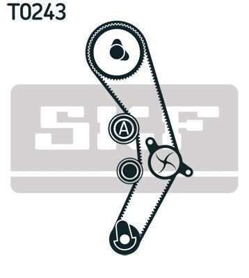 Skf Vkmc 01936 Wasserpumpe Steuerzeiten Gürtel Set