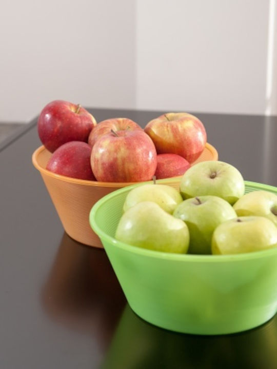 Viomes Salad Bowl Transparent