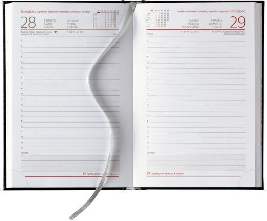 THeofylaktos Blooming Butterfly Daily Agenda 2026 11x16.5cm