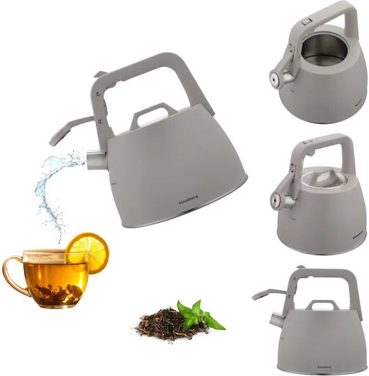 Klausberg Wasserkocher Edelstahl Gray 2500ml
