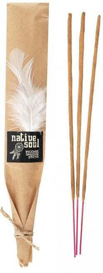 Home Fragrance Sticks Native Soul Scent White Sage Dragon's Blood 15g