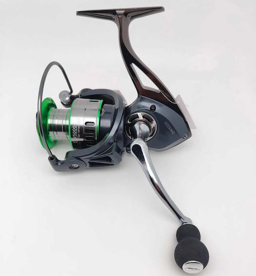 DW Fischrolle 1000