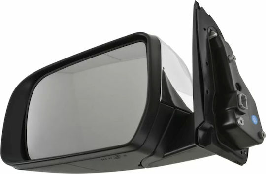 Electric Car Left Side Mirror with Signal