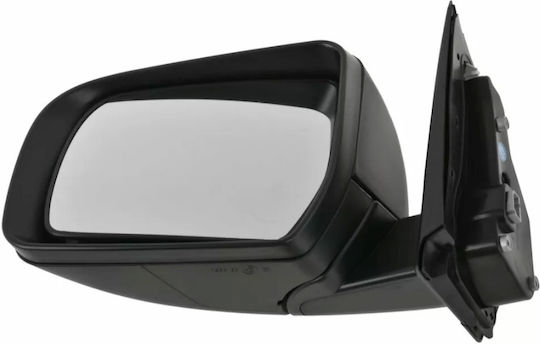 Electric Car Left Side Mirror with Signal