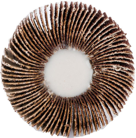 Flap Disc 60 X 15 X 6 Mm P100