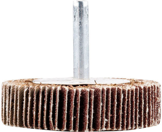 Flap Disc 60 X 15 X 6 Mm P120
