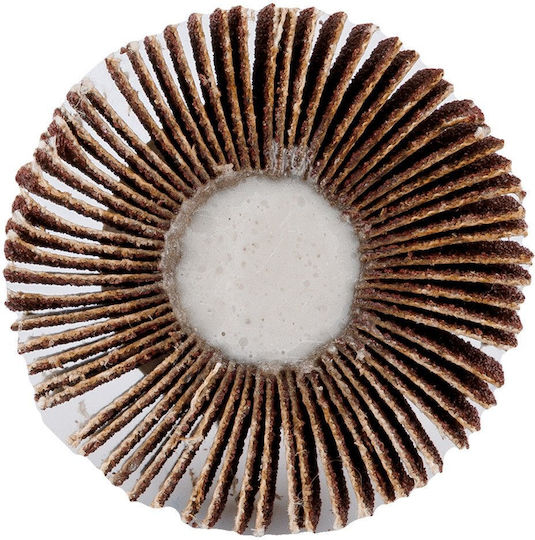 Flap Disc 80 X 40 X 6 Mm P40