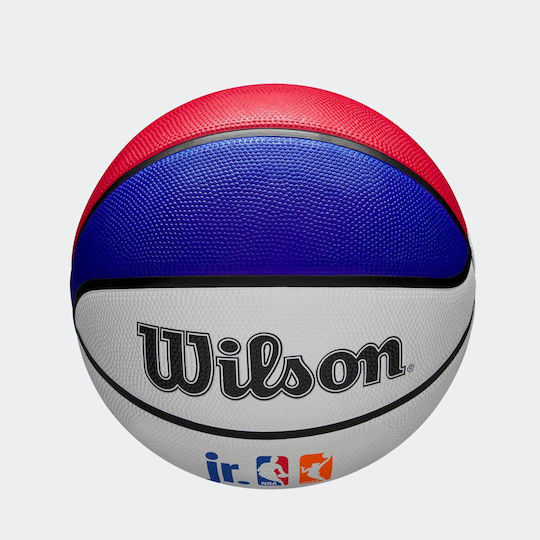 Wilson Mingea de baschet Interior/Exterior