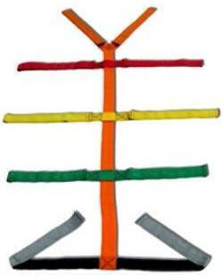 Carrier Belt