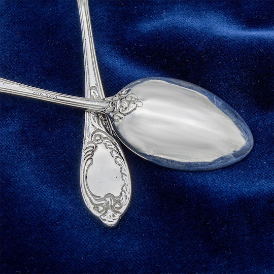 Savvas Design Löffelset Metall Silber 13.5cm 2Stück