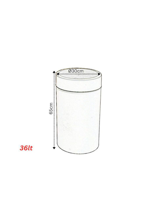 Viomes Κάδος Απορριμμάτων Πλαστικός Μαύρος 36lt