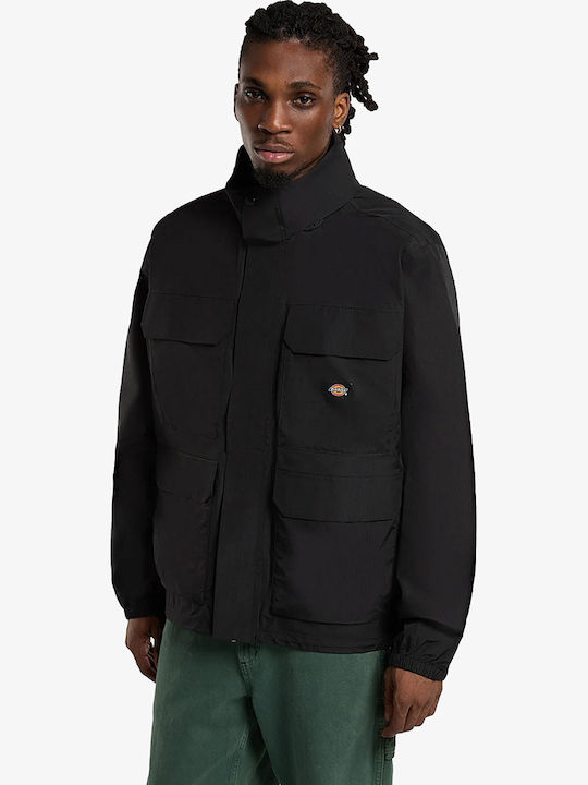 Dickies Dickies