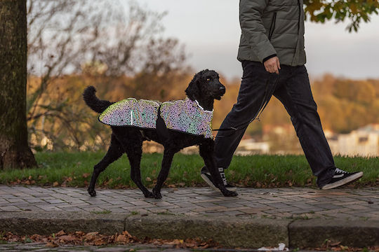 Trixie Haine pentru câini Mici cu Lungimea Spateului 36 cm
