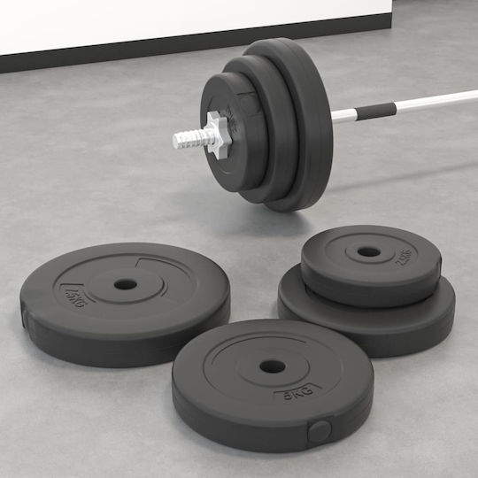 vidaXL Scheibenset Gummierte 2 x 10kg Ø26mm
