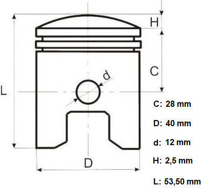 Siguranțe pentru Piston Motocicletă 40mm pentru Honda DIO / Scoopy pentru Keeway Lumina pentru Kymco DINK - Magazin online pentru Peugeot SC 50 - Magazin online pentru Yamaha SR (Site de comerț electronic)