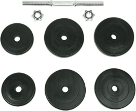 vidaXL Set de gantere 2x 15kg