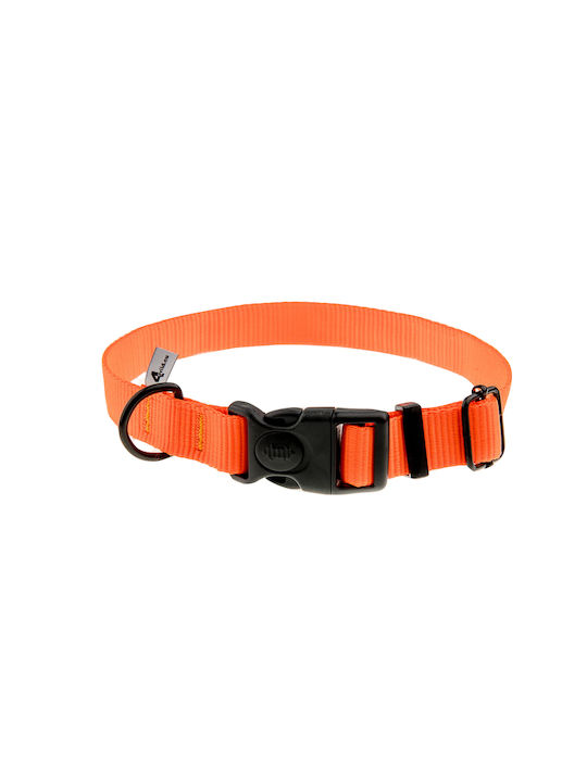 4wild Guler Pentru Câini Cu Curea Neon Portocalie 25 Mm 37-57 Cm