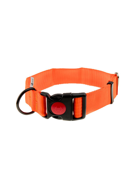 4wild Neon Orange 40 Mm Strap Collar 39-61 Cm 4wild Neon Orange 40 Mm Strap Collar 39-61 Cm