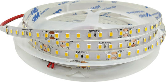 Eurospot LED Strip 24V Natural White Light 5m Type SMD2835