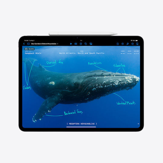 Apple iPad Pro 2024 13" (8GB/512GB) Space Black