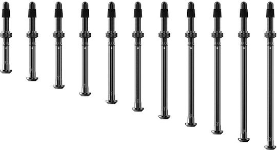 Supape Quarq Tyrewiz 2.0 Lungime C 15.4-22.6mm Set