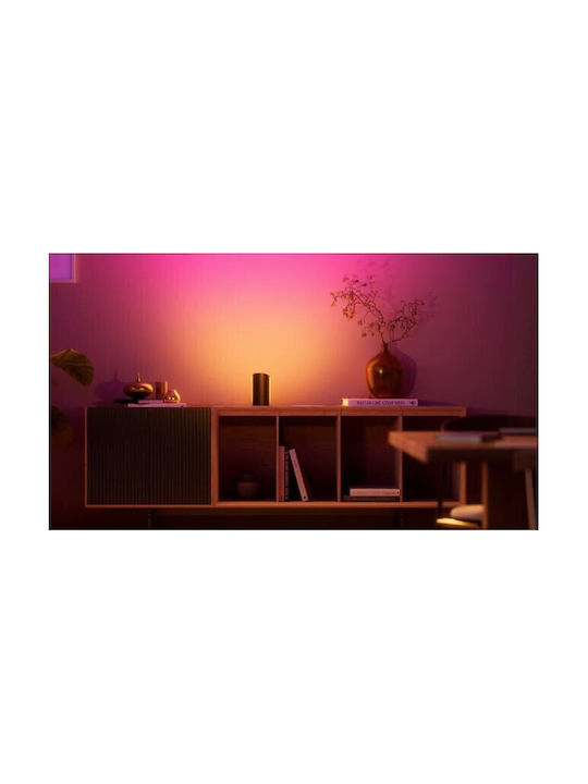 Philips Smart Διακοσμητικό Φωτιστικό Hue Play LED RGB 2τμχ