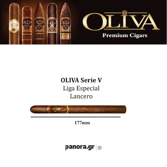 Panora Baureihe V Lancero Zigarren Nicaragua 1Stück 177mm