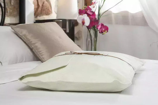 Alpha Foam Classic Aloe Vera Memory Foam 42x65x16cm